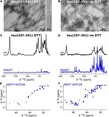 Solid-state NMR of paired helical filaments formed by the core tau fragment tau(297-391)